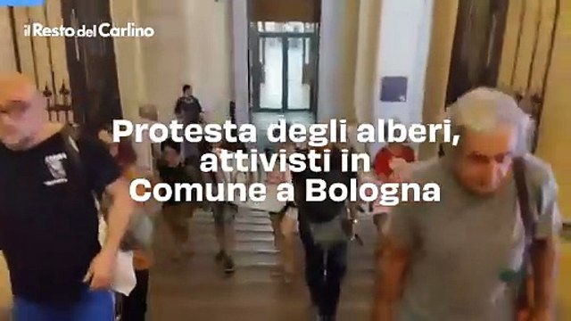 Protesta degli alberi, attivisti in Comune a Bologna: il video