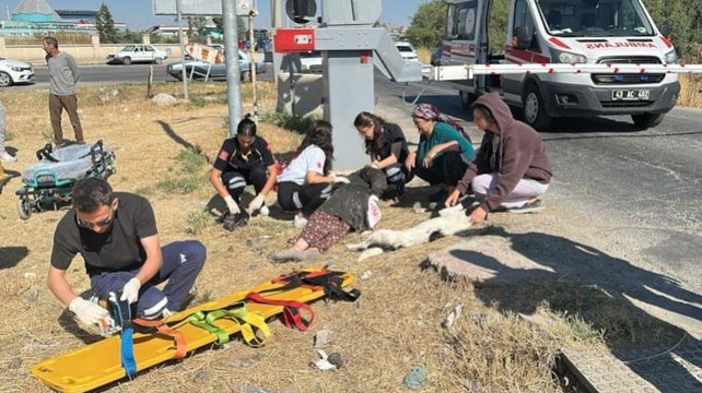 Hemzemin geçitte yük treni çarpan kadın yaralı kurtuldu