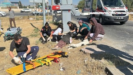 Hemzemin geçitte yük treni çarpan kadın yaralı kurtuldu