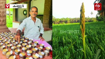 നെൽവിത്തുകളുടെ കാവൽക്കാരൻ; വേണുവിൻ്റെ ശേഖരത്തിലുള്ളത് 70ഓളം പൈതൃക നെല്ലിനങ്ങൾ