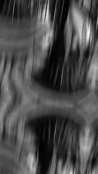 Alors tu le savais ?