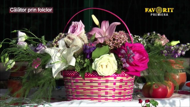 Stelian Hristea - Ionele, batu-te-ar gandul (Calator prin folclor - Favorit TV - 03.08.2025)