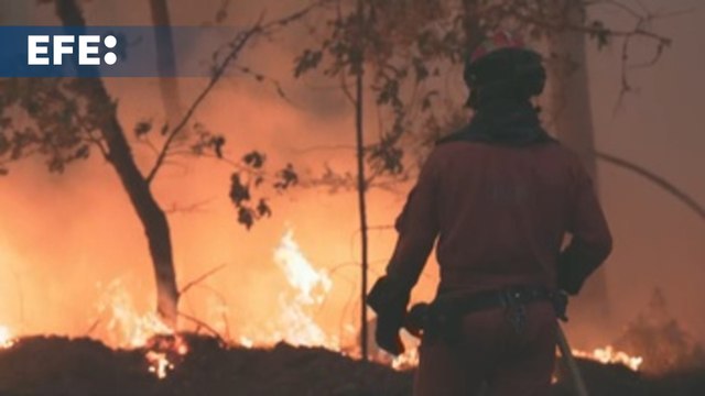 España se acerca a las 400.000 hectáreas arrasadas por el fuego en lo que va de 2025
