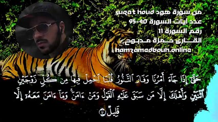 من سورة هود القارئ حمزة مدبوح مؤثرة جدا