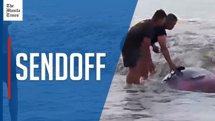 PH Marines help dolphin back to sea in Maguindanao Norte after treating injury