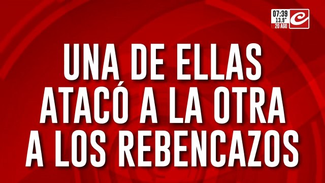 Maestras se molieron a golpes