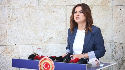 DEM Parti'li Koçyiğit: Siyaset, hukuki adımları hızlıca atmalı