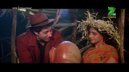 Tera Bimar Mera Dil - Chaalbaaz 1989