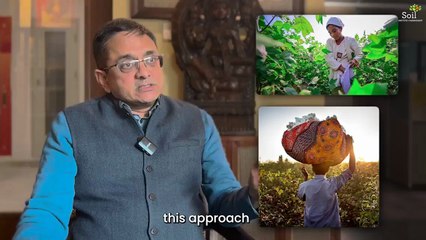 Boardroom Stories | Driving Sustainability at SOIL with Better Cotton