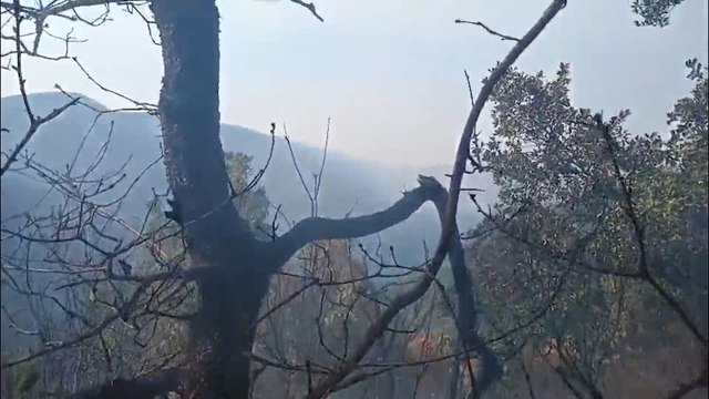 Una escenario más favorable , esa es la situación actual de los incendios que asolan España