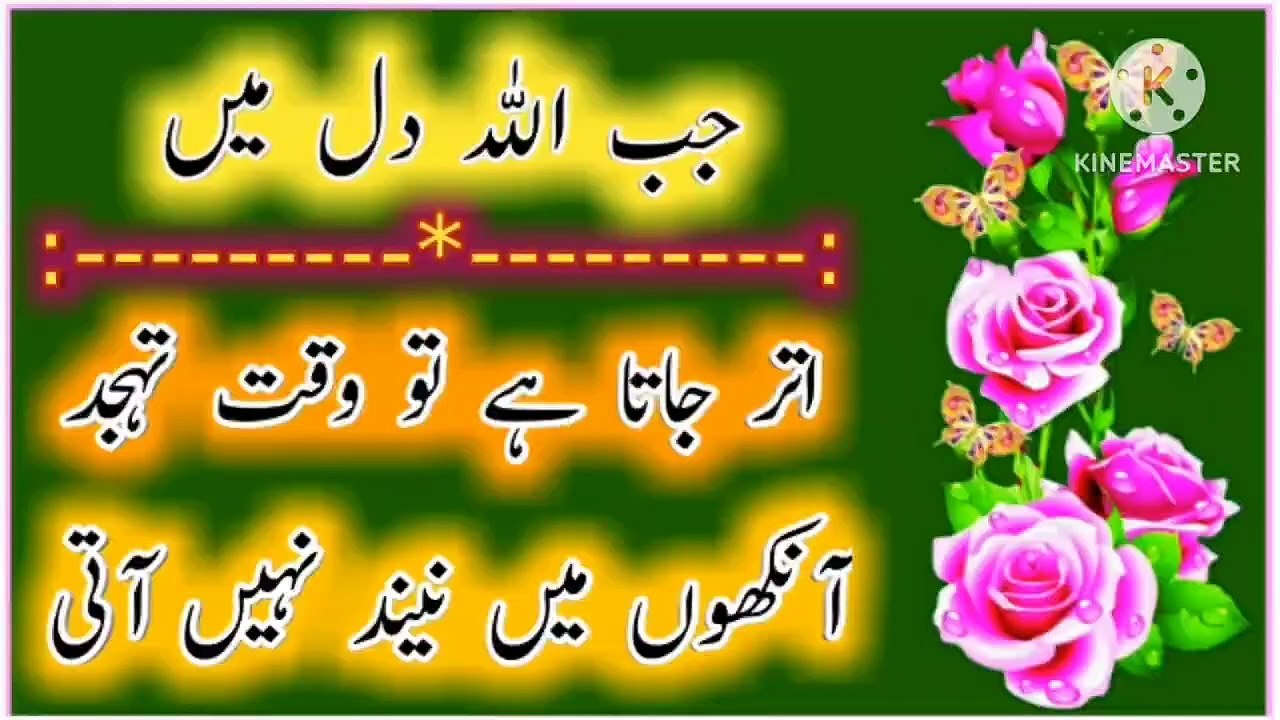 Jab Allah Dil Mein! Best Urdu Quotes🔥! Urdu Islamic Quotes💥! Islamic YouTube🔥! ISLAMIC URDU MEWAT