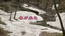 春が来た　Spring has come