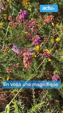 Balade dans les Landes de la Poterie