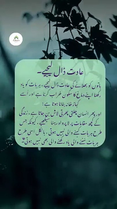 Adat Dal Leejyie...!!