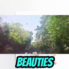 join me on this mesmerizing drive!  #Viral #Trending #ForYou #Explore #FYP #ContentCreator