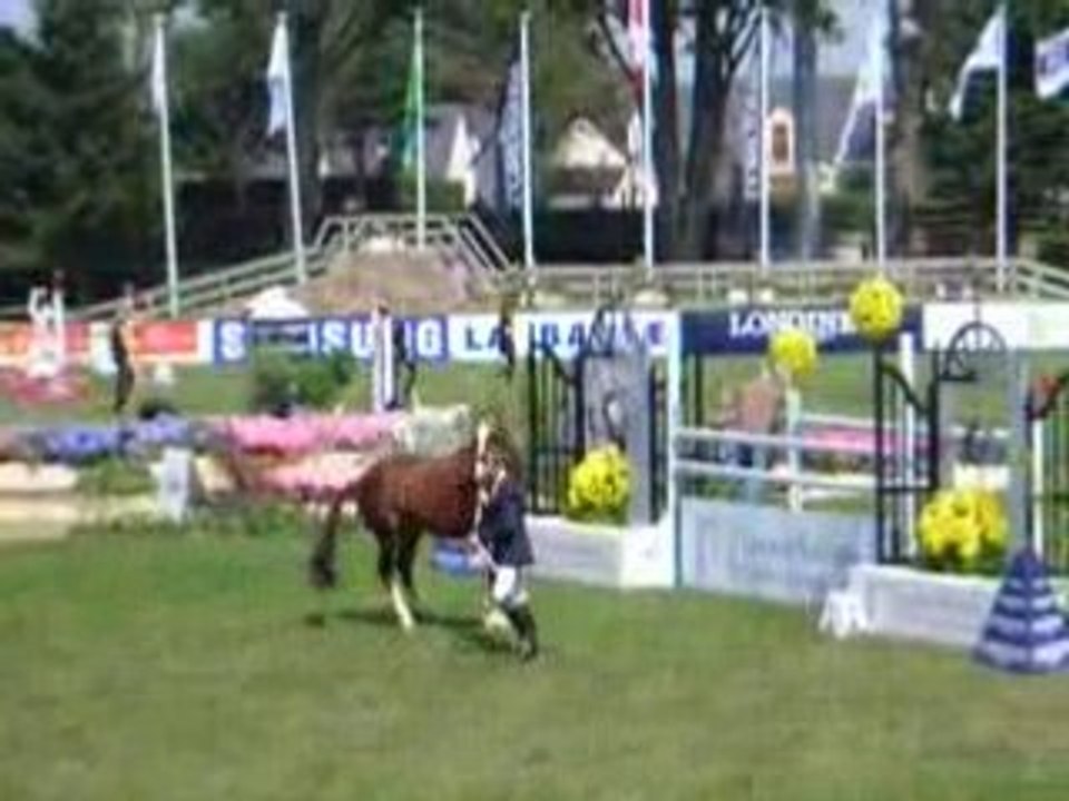 poulain 3 ans