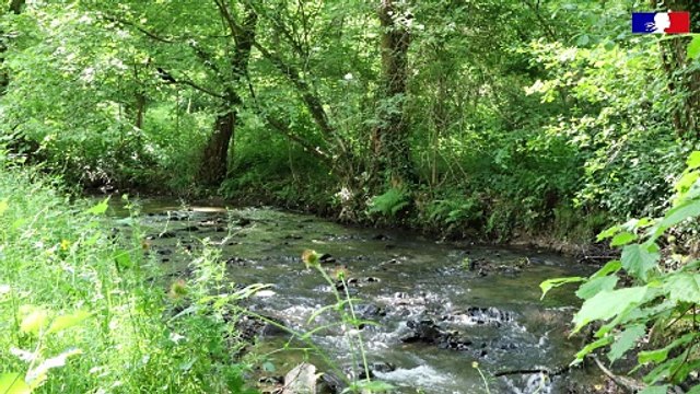 Limoges comme j'aime - Corine se ressource au parc de l’Auzette – DREAL Nouvelle-Aquitaine