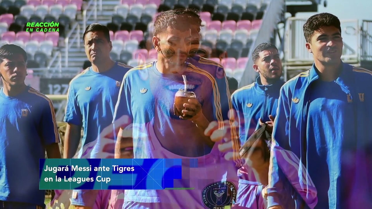 Reacción en cadena - martes 19 de agosto 2025