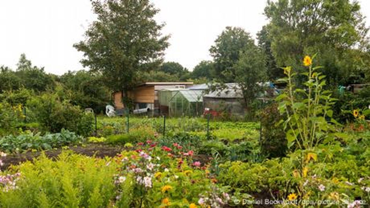 Der Traum vom eigenen Schrebergarten