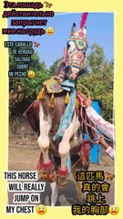 join me in this cultural extravaganza!  #Viral #Trending #ForYou #Explore #FYP #ContentCreator