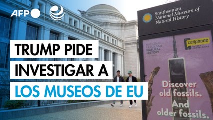 Trump pide investigar a los museos de EU