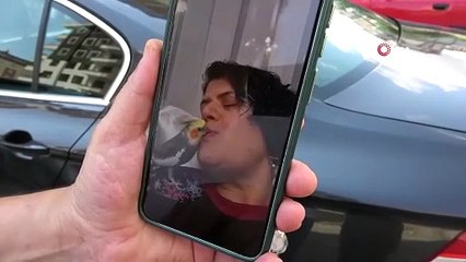 8 yıllık can yoldaşları kayboldu! Sokak sokak arıyorlar