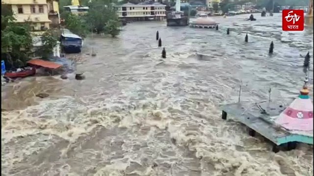 गोदावरी नदीला पुन्हा पूर; इगतपुरीत गावांचा संपर्क तुटला, गोदाकाठची मंदिरं पाण्याखाली - पाहा व्हिडिओ