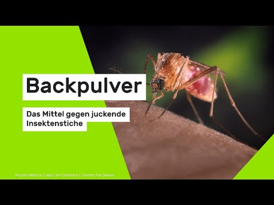 Sofortige Wirkung: Dieses Mittel hilft direkt gegen fies juckende Insektenstiche
