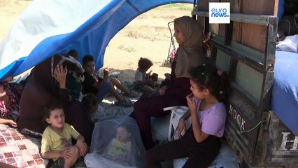 Вечерние новости 20 августа 2025 — Самые важные события дня 🌍