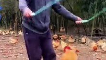 funny video搞笑视频合集#每日一笑 #今天你笑了吗 #看一遍笑一遍 #万万想不到 #每天一笑烦恼忘掉