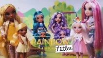Rainbow High Littles Dolls 