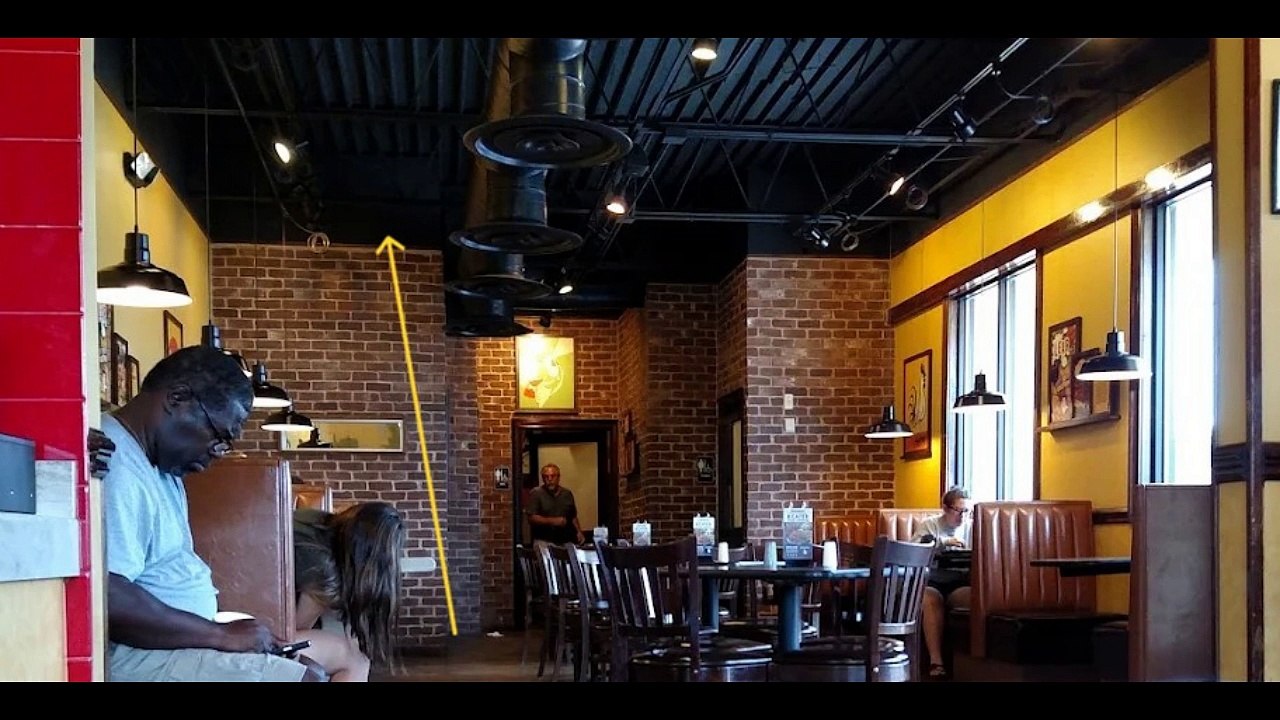 Ladder fall incident