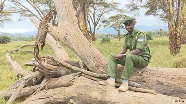 The Kenyan anti-poaching hero safeguarding wildlife