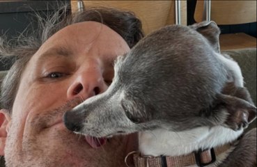 Seth Meyers is mourning the loss of his beloved dog, Frisbee