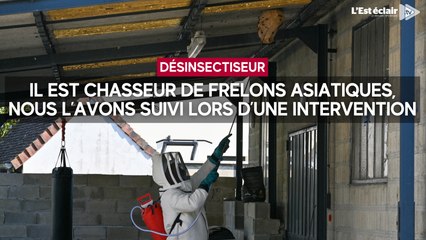 Il est chasseur de frelons asiatiques, nous l’avons suivi lors d’une intervention cet été