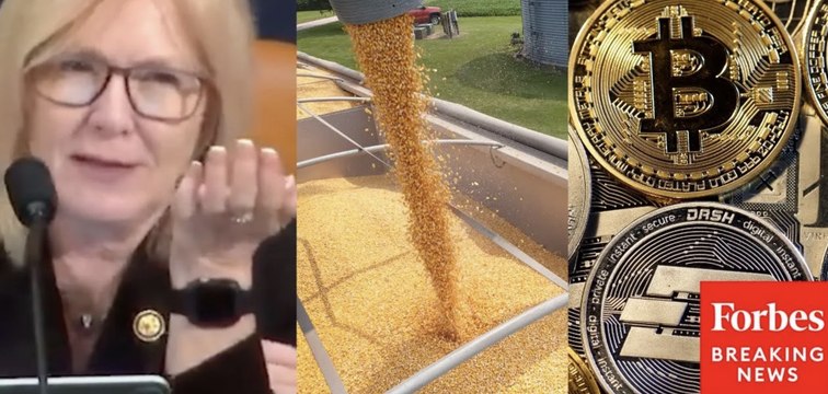 Michelle Fischbach Makes Comparison Between Selling Crypto And Corn At The Grain Elevator