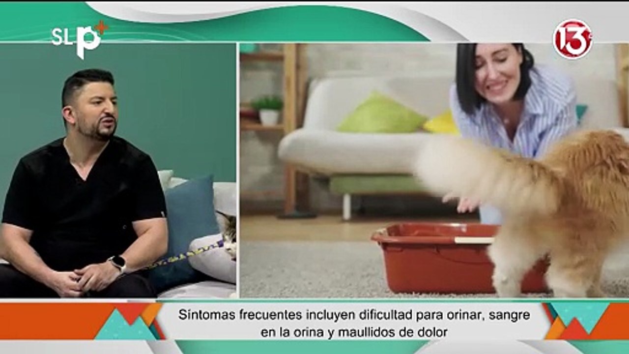 SLP Martes 19 agosto entrevista 3