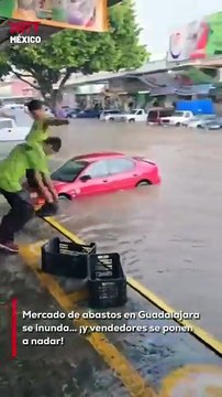 Tras la fuerte lluvia que inundó el mercado de abastos en Guadalajara, algunos vendedores decidieron tomarlo con humor y se lanzaron al agua como si estuvieran en una alberca.