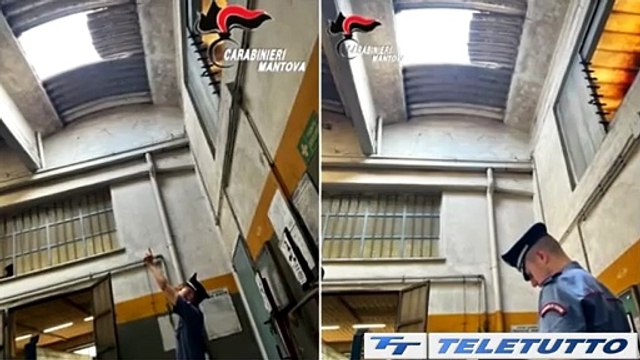 Video News - Infortunio sul lavoro ad Asola, grave operaio bresciano