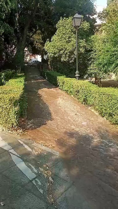 Rotura