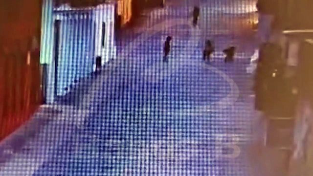 Novas imagens mostram briga que terminou com morte de assaltante no Largo da Ordem; veja vídeo
