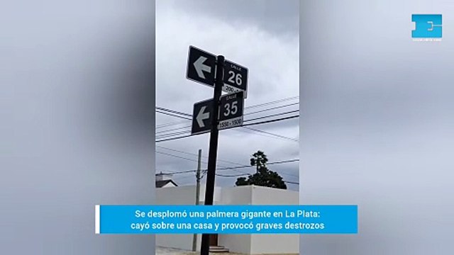 Se desplomó una palmera, cayó sobre una casa y provocó destrozos en La Plata