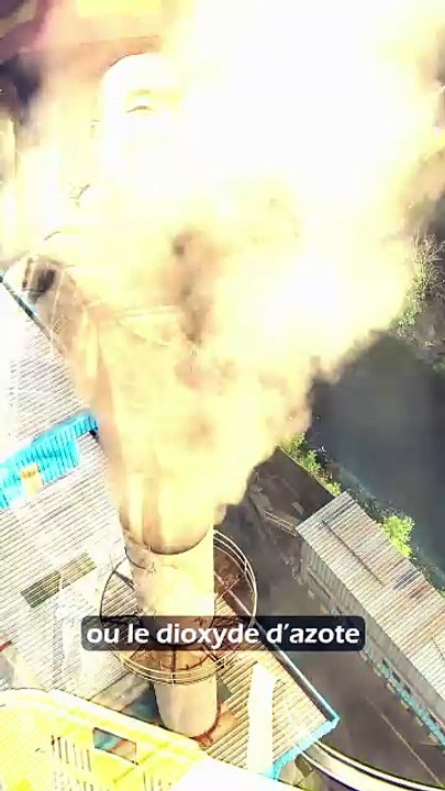 Notre cerveau vit ses dernières heures ?