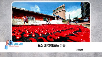 [포토오늘] 도심에 찾아드는 가을 세계 / YTN