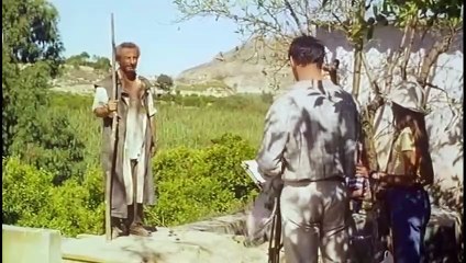 Little Bird / Pajarico (1997) | Full Drama Comedy Movie | Paco Rabal, Alejandro Martínez, Dafne Fernández