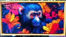 HONOR 400 Pro
