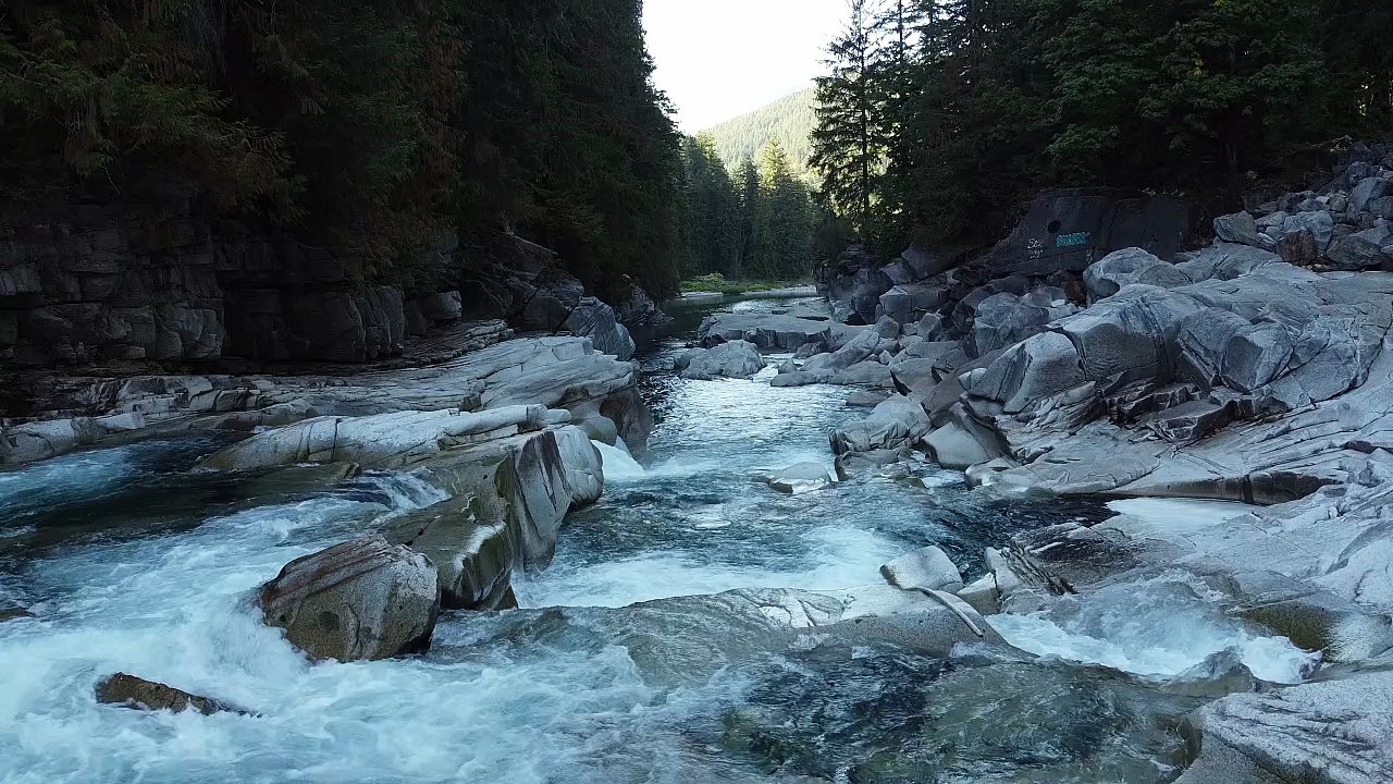 A River Flowing Through a Forested Area with Rocks