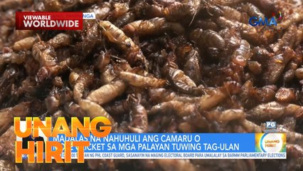 Sorpre-saya sa Camaru Festival | Unang Hirit