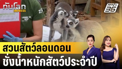 สวนสัตว์ลอนดอนจัดกิจกรรมชั่งน้ำหนักสัตว์ประจำปี|ทันโลก EXPRESS |21 ส.ค. 68