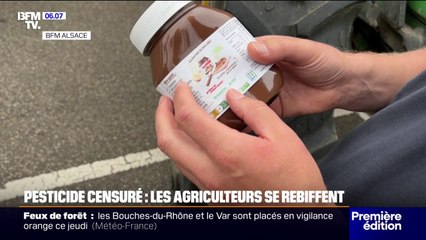 Pesticides: en Alsace, des syndicats agricoles organisent une opération "rayon vide"